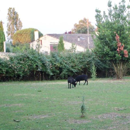 Le Clos Du Gorion Hotel Saint-Sulpice-et-Cameyrac Exterior photo